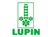 lupin