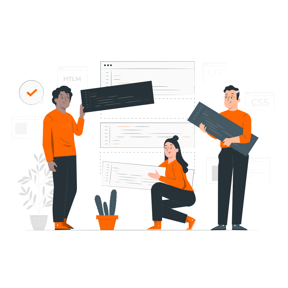 software development team