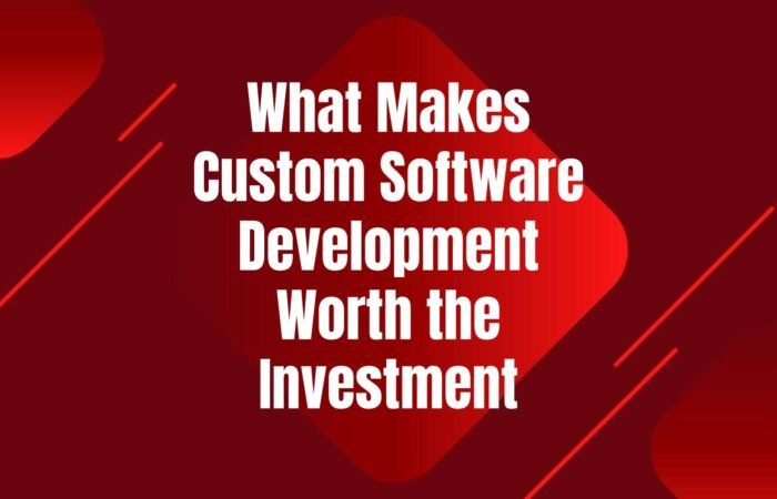 custom-software-development-worth-investment