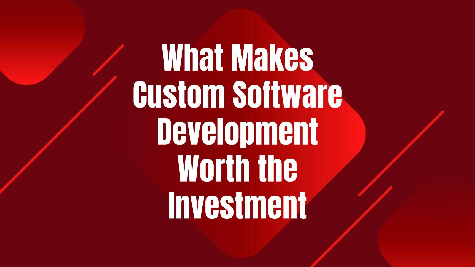 custom-software-development-worth-investment